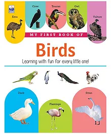 My First Book Of Birds - English
