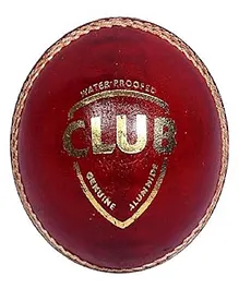SG Club Red Leather Ball