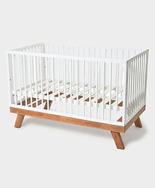 Mi Arcus Rubber Wooden Cot Cum Junior Bed with Adjustable Height - White