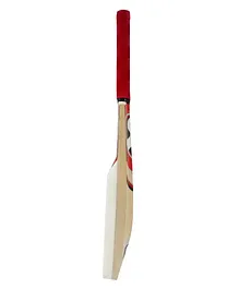 SG Catch Cricket Bat (Color May Vary)