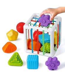 OPINA  Learning & Educational Shape Sorter Montessori Baby Toys with 6 Pieces Block Sensory Shape- Multicolor