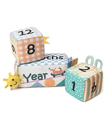 Mi Arcus Baby Milestone Blocks Set- Multicolor