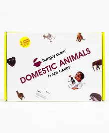 Hungry Brain Domestic Animals 24 Flash Cards - Multi Color