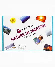 Hungry Brain Nature In Motion 24 Flash Cards - Multicolor