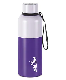 Milton Ancy 750 Thermosteel 24 Hours Hot and Cold Leak Proof Water Bottle Violet - 750 ml