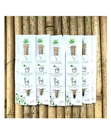 Sow and Grow Plantable Seed Paper Pen - Gift Pack of 10