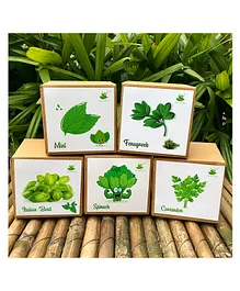 Sow and Grow DIY Gardening All Greens Kits - Italian Basil, Spinach, Coriander, Mint and Fenugreek