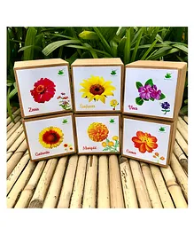 Sow and Grow DIY Gardening 6 Flower Kits Combo - Marigold , Sunflower, Cosmos, Vinca, Gaillardia, and Zinnia