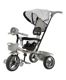 JoyRide 4 in 1 Reversible Tricycle for Kids Toddler Trike with Music & Light Parent Handle Push Along Pedal Trike Removable Canopy Safety Belt Footrest for 18 Months to 5 Years - Silver