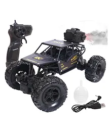 Toyshine 1:18 Scale 27MHZ Monster RC Truck with Booster Spray Function All Terrain Stunt Racing Car Rechargeable Indoor Outdoor Toy Car - Black