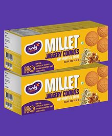 Early Food Dry Fruits & Seeds Jaggery Cookies Pack of 2 130g each
