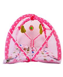 Babytoons Baby Bedding Set/Mattress Set with Mosquito Net and Baby Play Gym (Pink, 0-12 Months)
