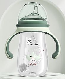 R for Rabbit Tritan Tweet Spout Cup Green - 240 ml