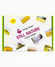 Hungry Brain Still Nature 24 Flash Cards - Multicolor