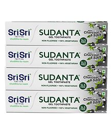 Sri Sri Tattva Sudanta Gel Toothpaste, 100 g x Pack of 4