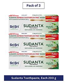 Sri Sri Tattva Sudanta Toothpaste, 200g x Pack of 3