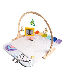 Curious Cub Baby Play Gym-Playmat,Multi
                        Color,