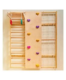 Curious Cub Wall Mounted Jungle Gym