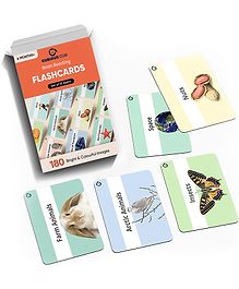 Curious Cub Montessori Flash Cards Brain Boosting Flash Card