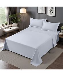 Home Prides Divine 300 Pure Cotton - Gray Violet, King Size, Flat Bedsheet Set