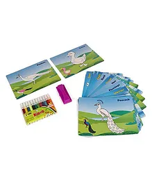 Toyenjoy Colour & Wipe Birds Flash Cards - Pack of 24 cards