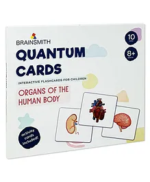 Brainsmith Organs of The Human Body Flash Cards - 10 cards