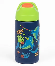 Kicups Stainless Steel Water Bottle Little Cup  water bottle steel For School Kids  350 ml  Fin Fiesta - Blue