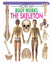 Dreamland The Skeleton (How My Body Works)