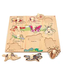 Kinder Creative Wooden 10 Insects With Knobs Puzzle - Multicolor