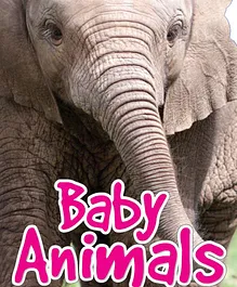 Die Cut Board Book Baby Animals - English