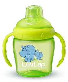 LuvLap Superior Touch Flo Valve Spout Sipper Green - 225 ml
