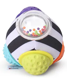 Sassy Chime n Chew Textured Ball - Multicolor