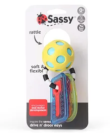 Sassy Drive n Drool Keys - Multicolour