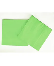 Party Anthem 2 Ply Paper Napkins Green - 40 Sheets