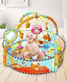 buy baby play gym