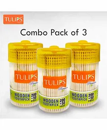 Tulips Premium Toothpicks with Wooden Jar Pack of 3 - 250 Pieces Each