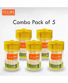 Tulips Premium Wooden Toothpicks Jar Pack of 5 - 250 Pieces Each