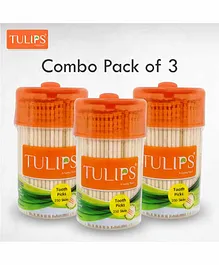 Tulips Wooden Toothpicks Jar Pack Of 3 - 250 Pieces Each