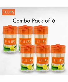 Tulips Wooden Toothpicks with Jar Pack of 6 - 250 Pieces Each