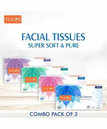 Tulips Facial Tissue Paper Pack of 3 - 100 Pieces Each