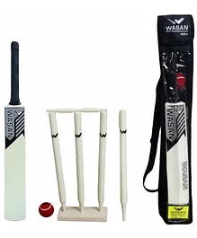 Wasan Cricket Set  Size 3 in bag- Natural