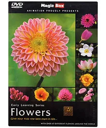 Magicbox DVD Flowers - English