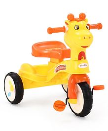 fab n funky tricycle