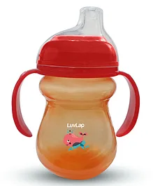 LuvLap Mobby Little Spout Sipper with Twin Handle Orange - 240 ml