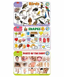Sawan Educational Table Mats of Transport Opposites and My First Words Set of 3 - English