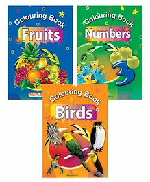 Maple Press Birds Fruits and Numbers Coloring Books Set of 3 - English