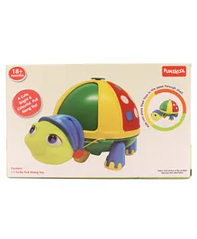 Giggles Roly Poly Turtle - Green