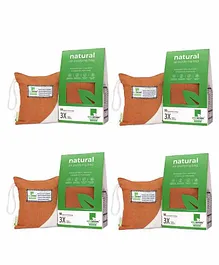 Breathe Fresh Medium Vayu Natural Air Purifying Bag Pack of 4 - 250 gm Each