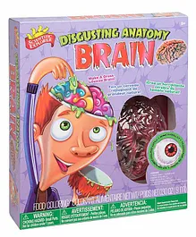 Scientific Explorer Disgusting Anatomy Brain - Multicolor