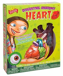 Scientific Explorer Disgusting Anatomy of The Heart Science Kit - Multicolor